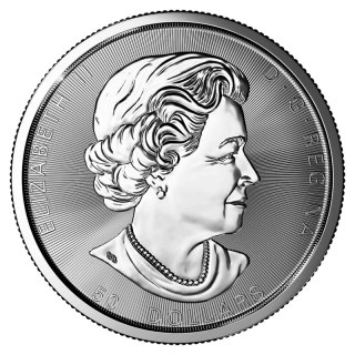 10 Uncji Wystawny Liść Klonowy Srebrna Moneta | Mieszane Roczniki