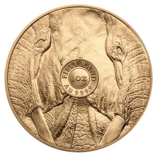 1 oz Wielka Piątka Afryki Słoń Złota Moneta | 2024