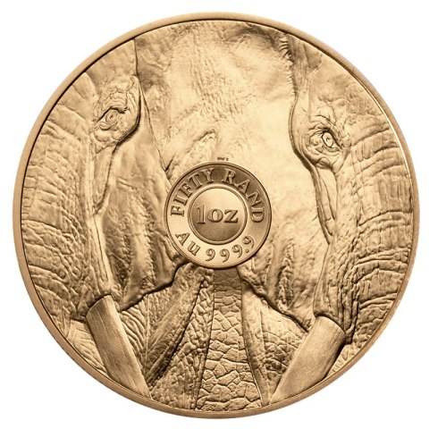 1 oz Wielka Piątka Afryki Słoń 2024 złota moneta w kapslu ochronnym