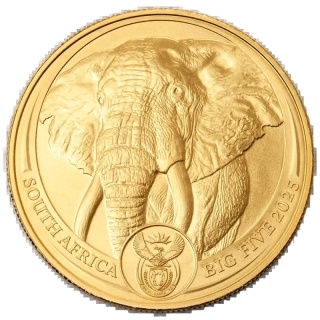 1 oz Wielka Piątka Afryki Słoń Złota Moneta | 2025