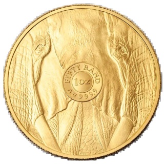 1 oz Wielka Piątka Afryki Słoń Złota Moneta | 2025