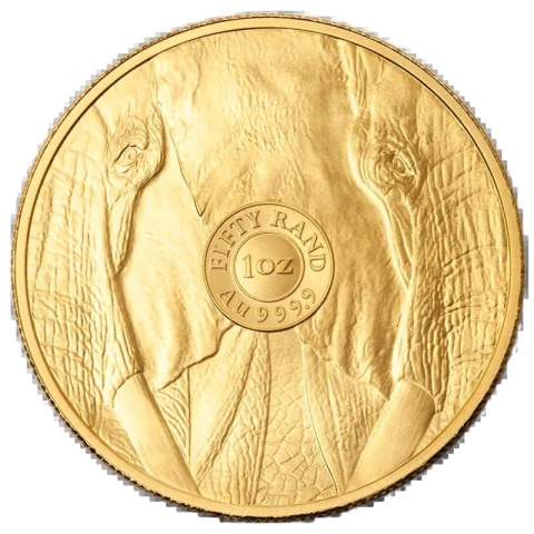 1 oz Wielka Piątka Afryki Słoń Złota Moneta | 2025