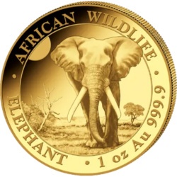 1 oz Słoń Somalijski Złota Moneta 2025 w kapslu ochronnym – seria African Wildlife